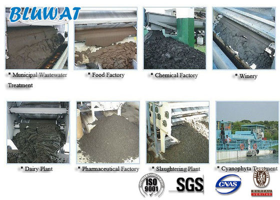 comprar Poliacrilamida catiónica del polvo blanco para la desecación del barro fabricación en línea