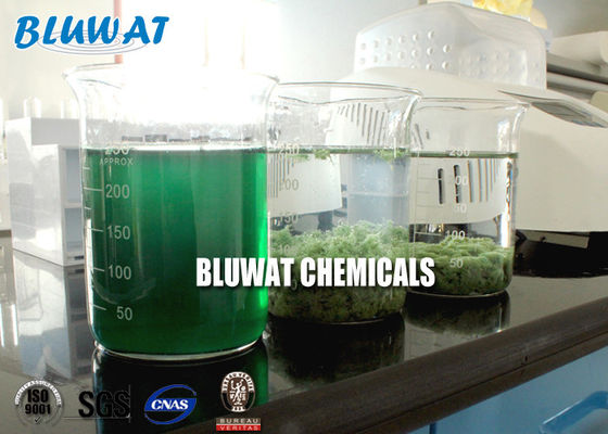 comprar Materia textil de Sri Lanka del coagulante del agente de Decolouring del agua que teñe el tratamiento efluente del color fabricación en línea