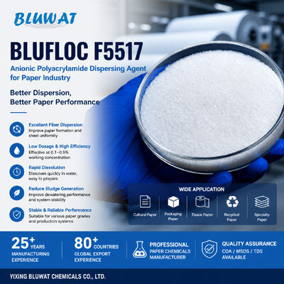 comprar BLUFLOC F5517 Anionic Polyacrylamide Dispersing Agent for Paper Industry fabricación en línea