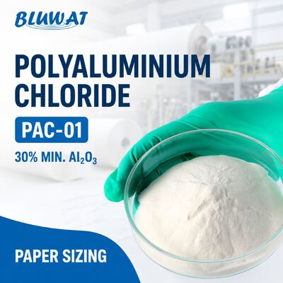Comprar PAC-01 Cloruro de Polialuminio Blanco en Polvo con Mínimo 30% de Al2O3 para Encolado y Retención de Papel fabricación en línea