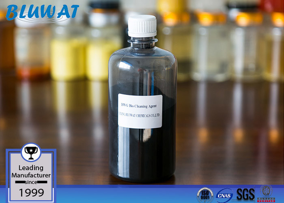 Sustancias químicas bacterianas de la purificación del agua del microorganismo de BWG para el sistema biológico de WWTP