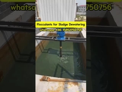 Polyacrilamida Floculante Polielectrolítico Tratamiento del agua Lodo Engrosamiento y deshidratación