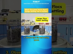 PAM Flocculant Showdown: ¿Cuál de los dos se asienta más rápido?